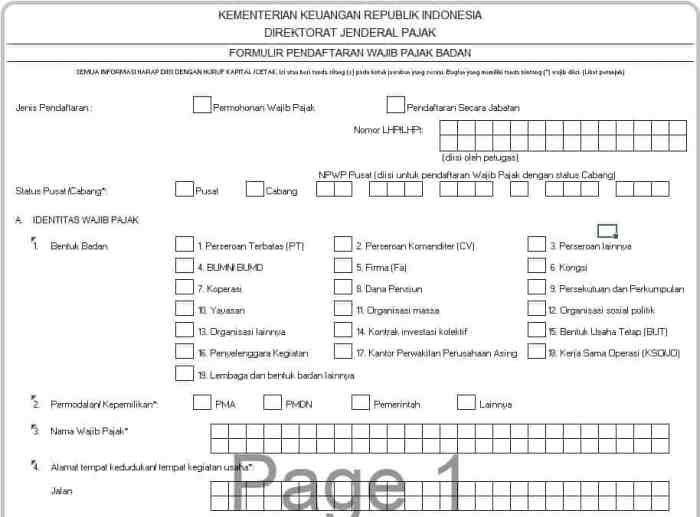 Cara mengisi formulir NPWP secara online