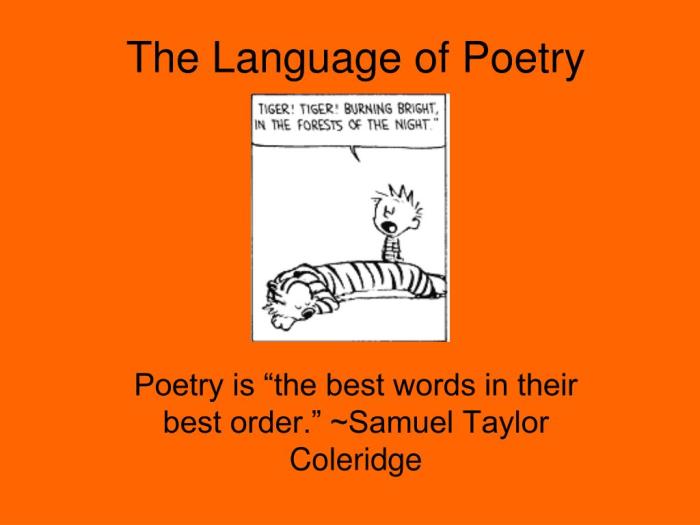 Poetry features language poem english introduction class them