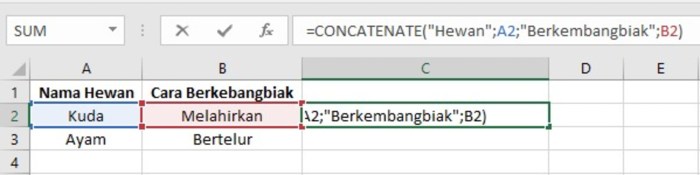 Membuat Rumus Concatenate di Excel untuk Menggabungkan Teks