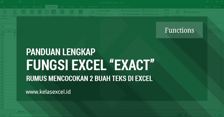 Fungsi exact excel untuk membandingkan teks case sensitive