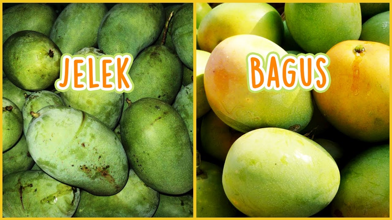 Cara memilih buah yang matang dan manis