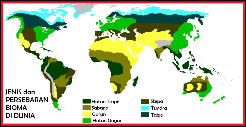Rangkuman tentang bioma di dunia
