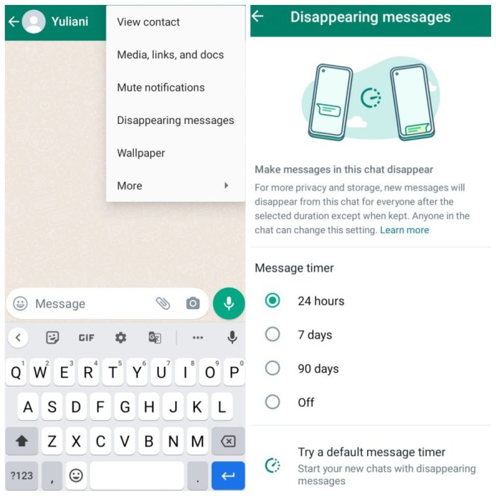 Mencegah Folder WhatsApp Penuh dengan Cepat