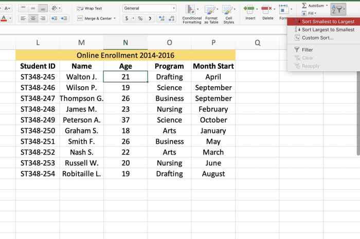 Rahasia Excel: Cara Mengurutkan Data Berdasarkan Ranking dan Kriteria Lainnya Secara Otomatis