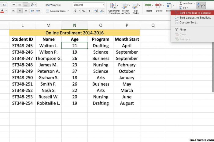 Panduan Lengkap: Mengurutkan Data di Excel Berdasarkan Ranking dengan Beberapa Syarat